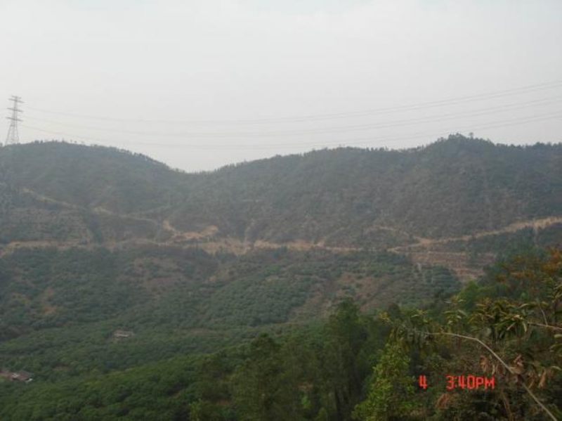20072420272272787.jpg