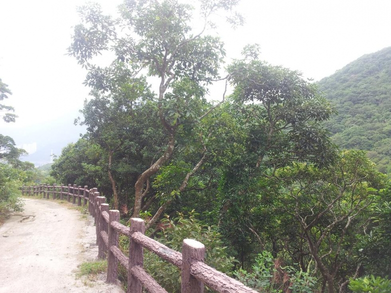 20121027_115151.jpg