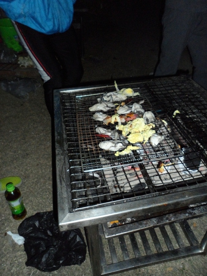 SAM_0209.JPG