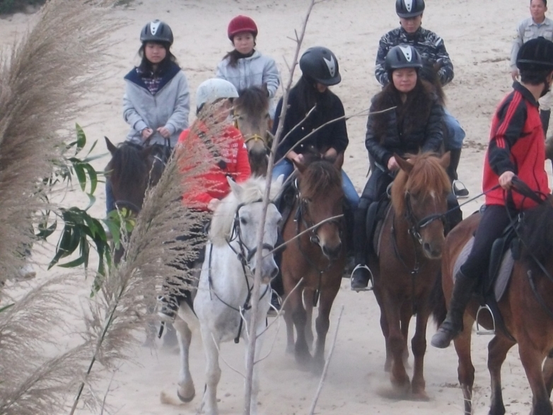 单飞西冲东冲杨梅坑 012.jpg