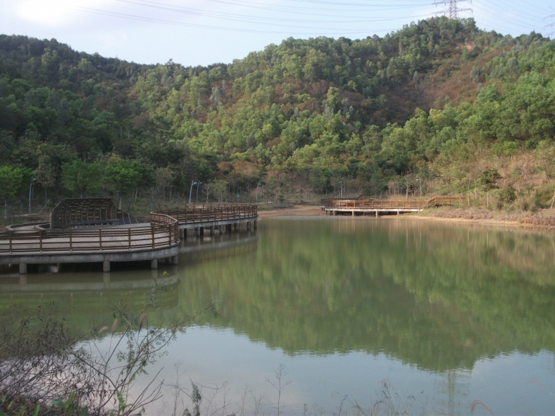 因为施工封闭的大运湿地绿道 048.jpg