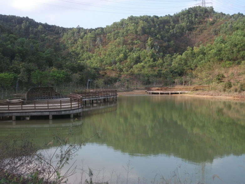 因为施工封闭的大运湿地绿道 049.jpg