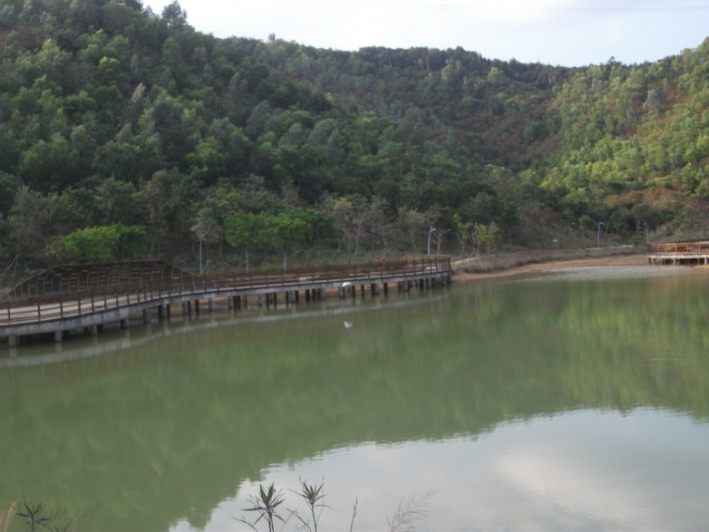 因为施工封闭的大运湿地绿道 051.jpg