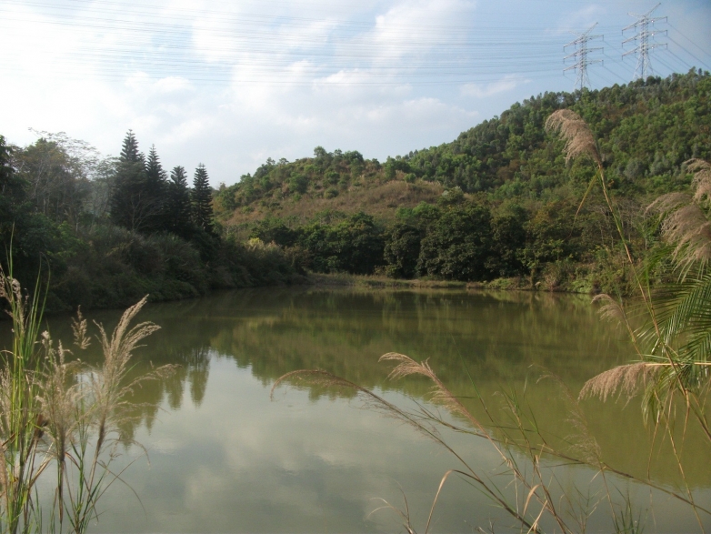 因为施工封闭的大运湿地绿道 022.jpg