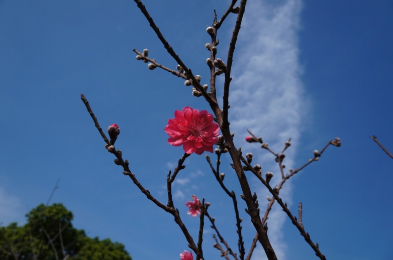 DSC02237.JPG