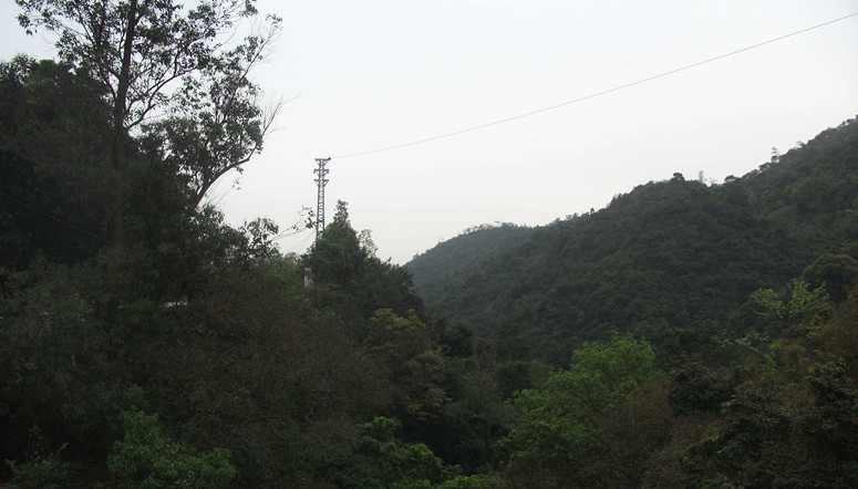 漫景游之清溪森林公园，白云峰 108_副本.jpg