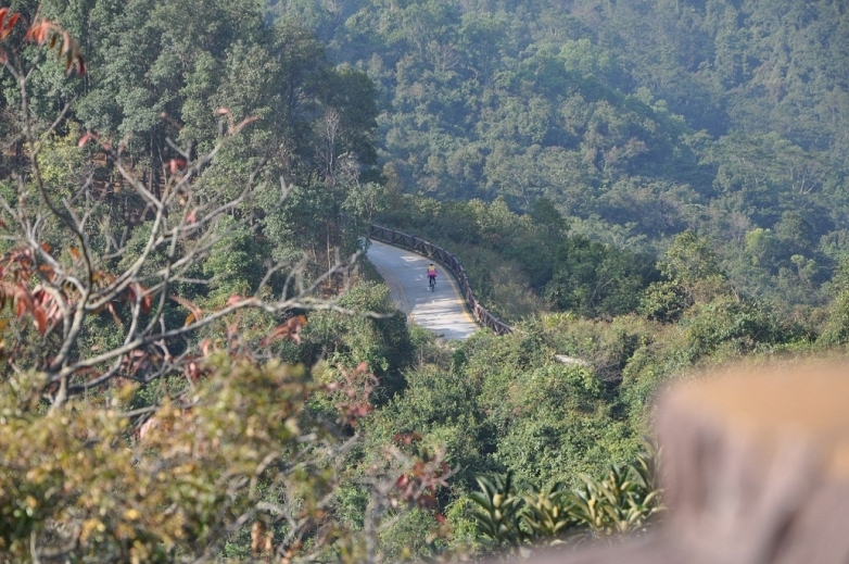 DSC_0475.JPG.thumb.jpg