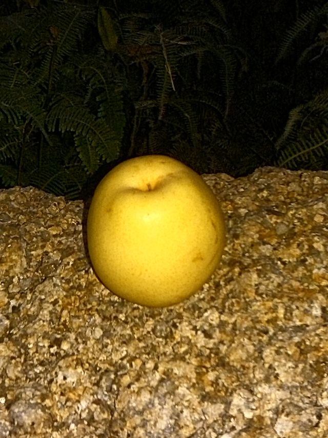 IMG_20130316_184943.jpg