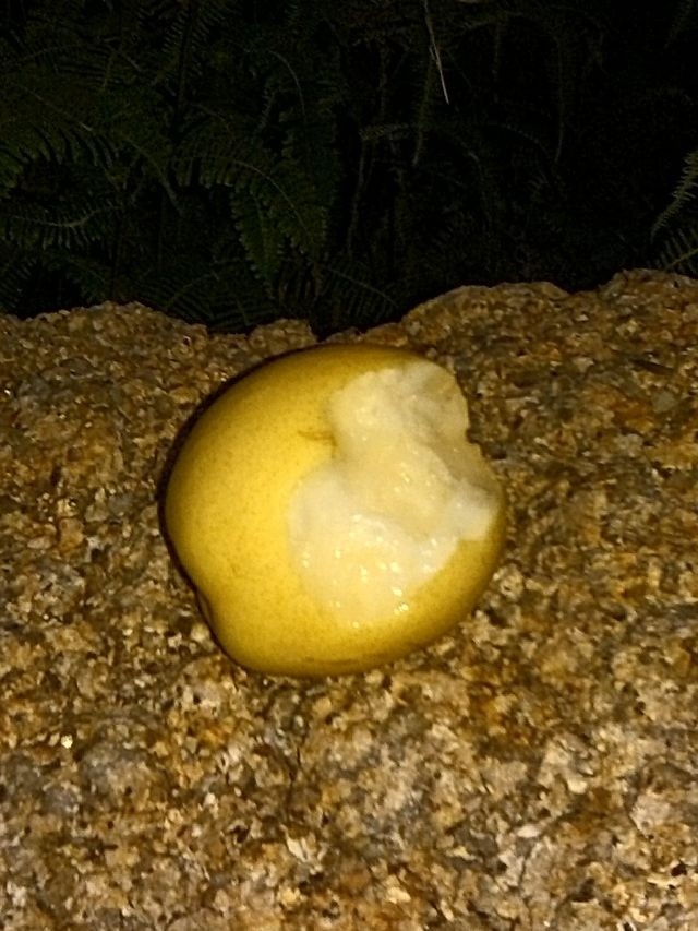 IMG_20130316_185001.jpg