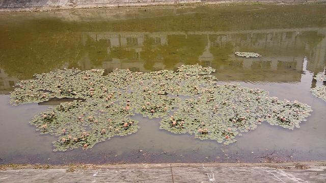 IMG_20130318_112214.jpg