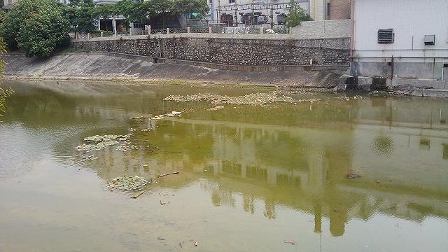 IMG_20130318_111949.jpg