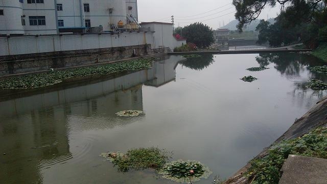 IMG_20130318_111941.jpg