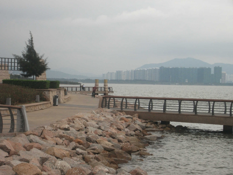 深圳湾段