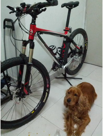 QQ截图20130327115621.png