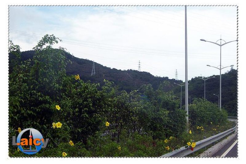 回程路36.jpg