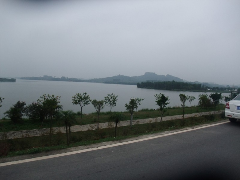 湿地公园
