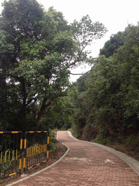 过了谭仙庙就是这种路