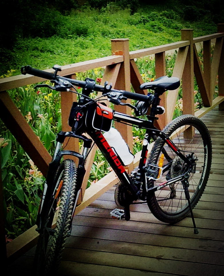 20130610.jpg