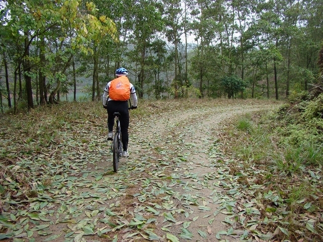 20080226_75761de6a098d4d4cedaaq0M3y6awBXb.jpg