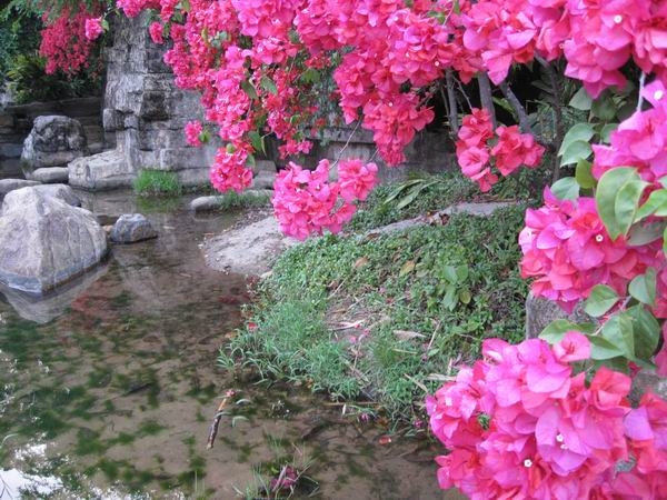 20100728103042_1.jpg