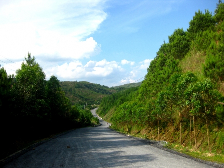 080936qybr0bldyqzxrelq.jpg.thumb.jpg