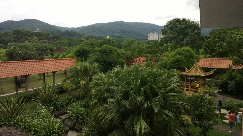 11这里的风景独美.jpg