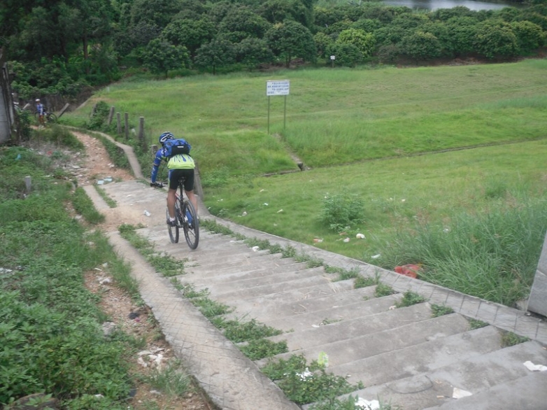 老马