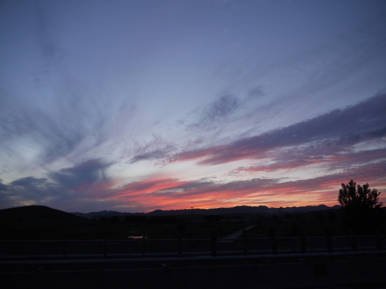 P1040400_1024.jpg
