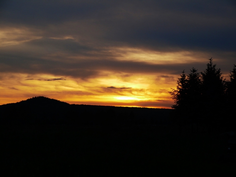 P1040625_1024.jpg