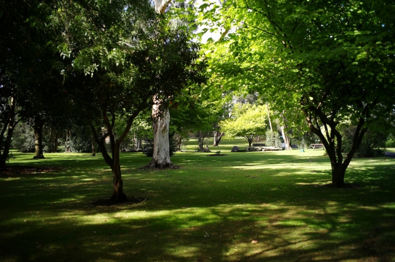 L1001372.JPG