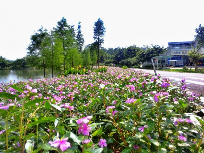 大学路XDS.jpg
