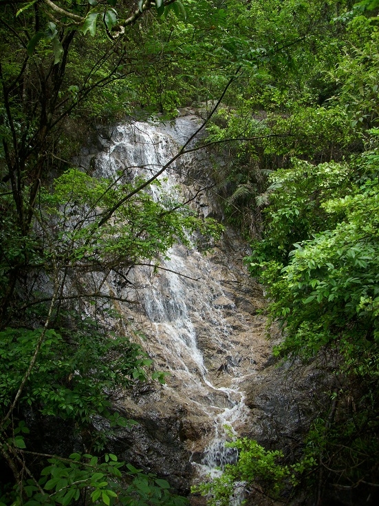 DSCI0078.JPG