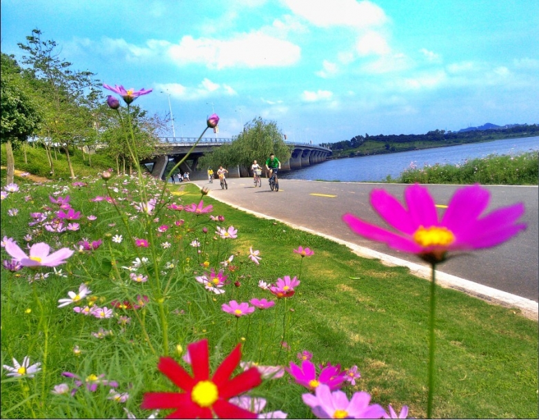 QQ图片20130521225451.jpg