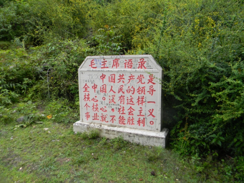 2013-09-08_090839.jpg