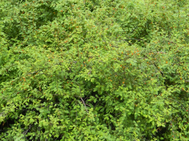 2013-09-08_091112.jpg
