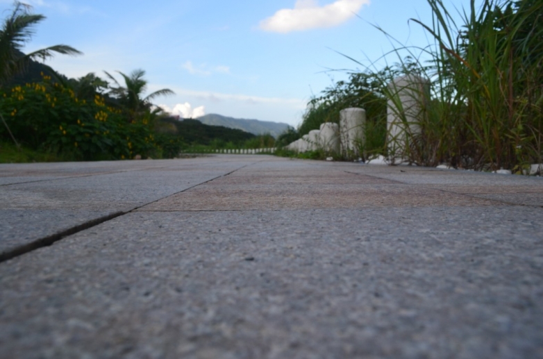 坝光绿道的石板路