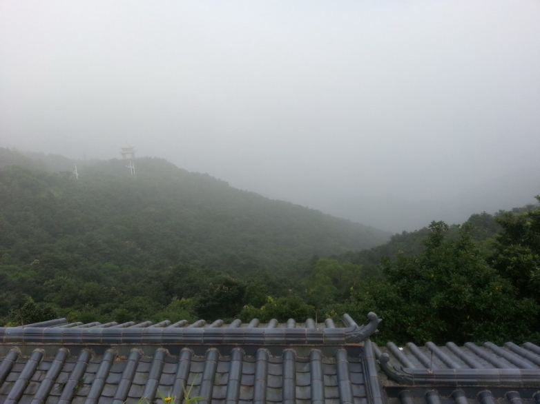 梧桐山风景