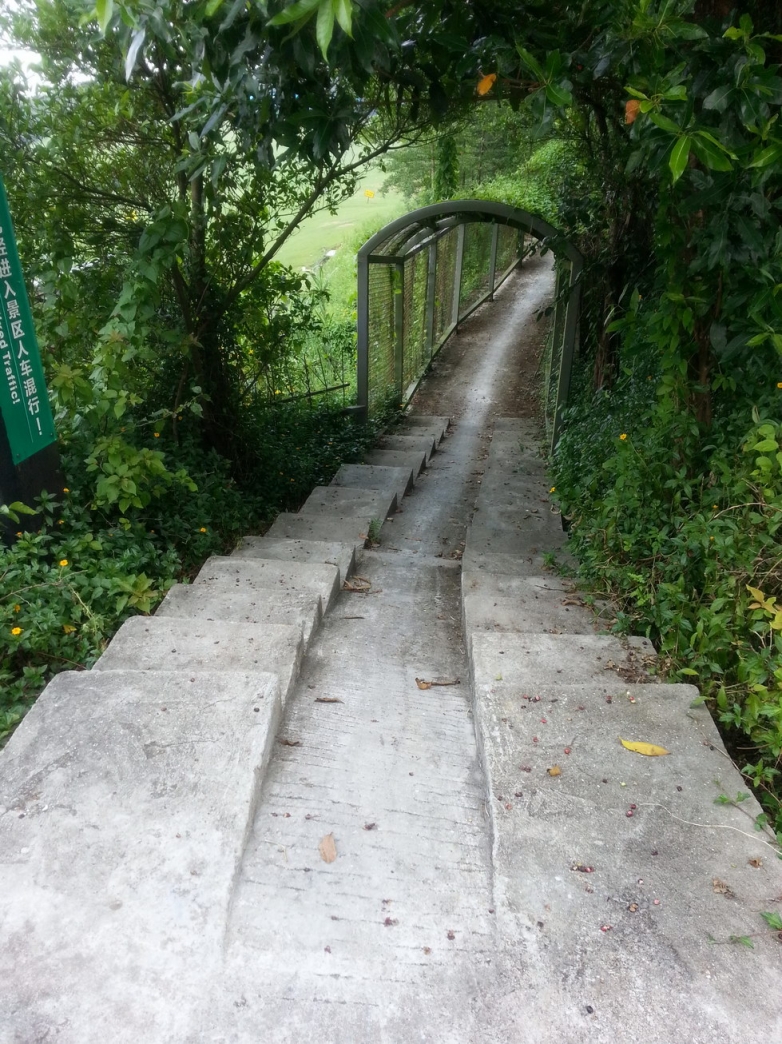 铁笼绿道