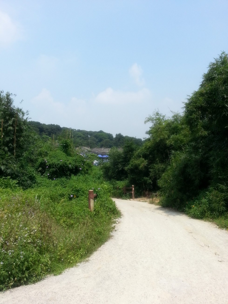 20130915_122347_调整大小.jpg