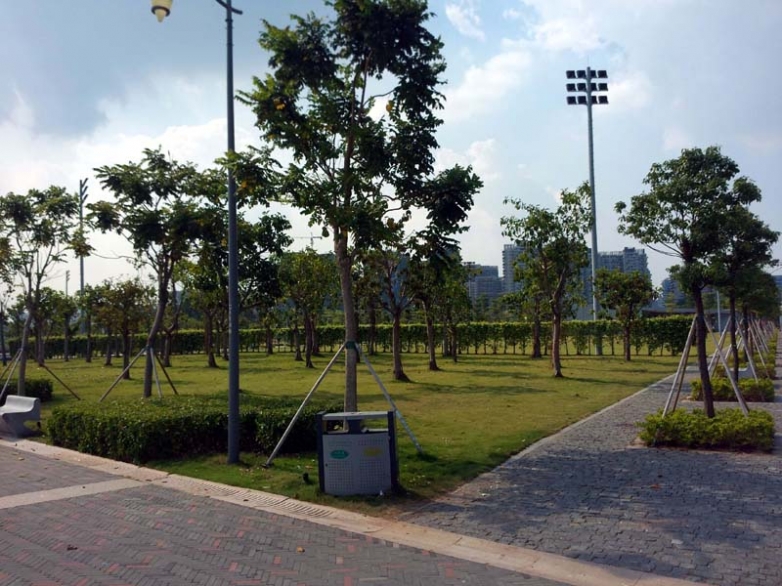 深圳湾大桥停车场