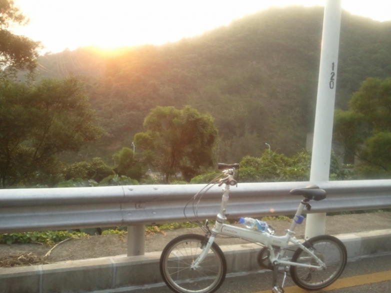 我家小白和日落。。