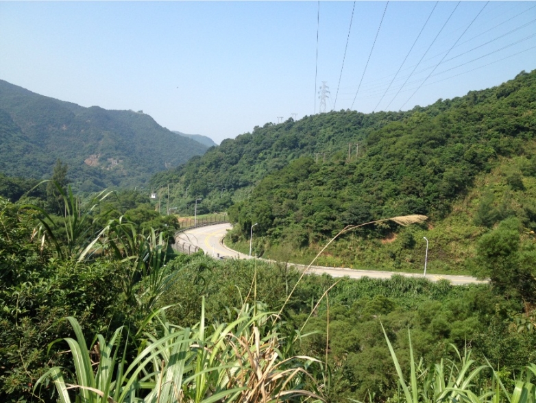 走过的路，累了停下拍照