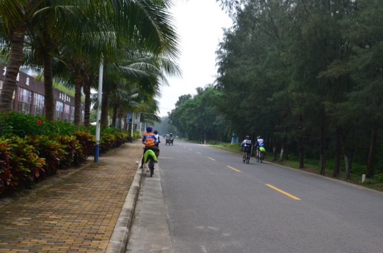还是椰林大道