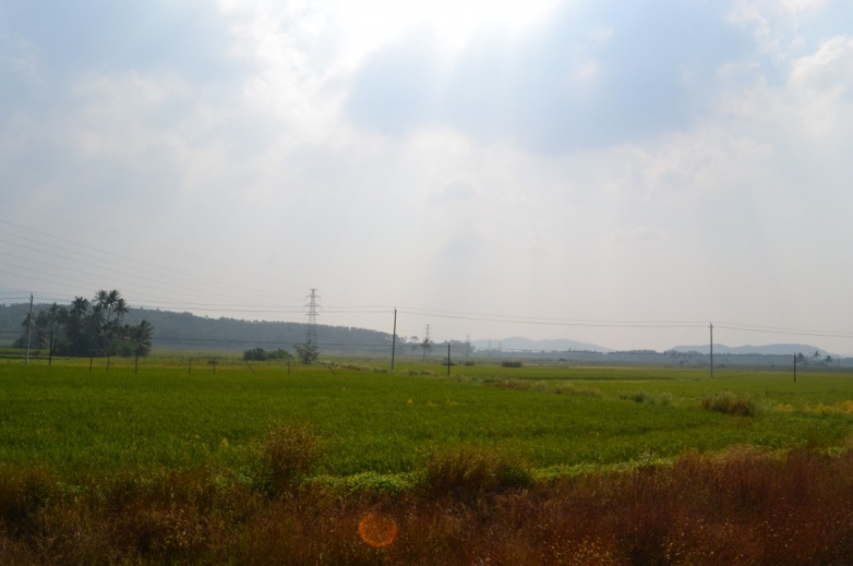 路上掠影