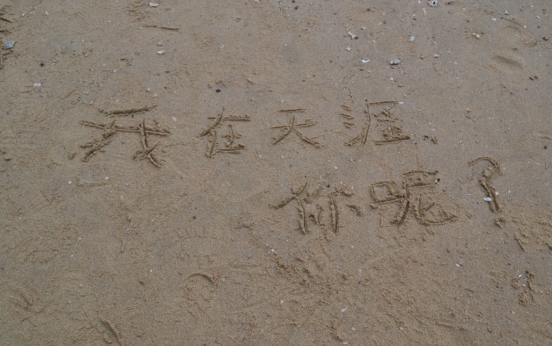 我在天涯，你呢