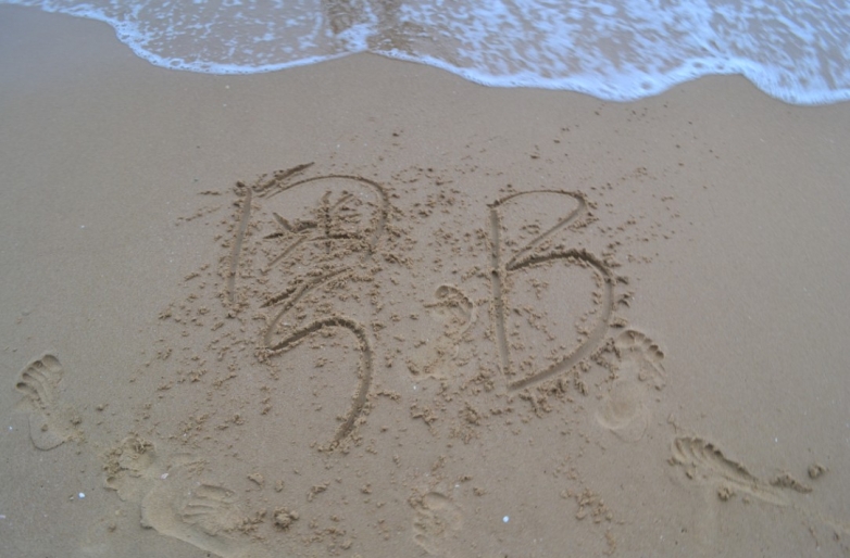 粤B，闪光辉，深圳人都懂的