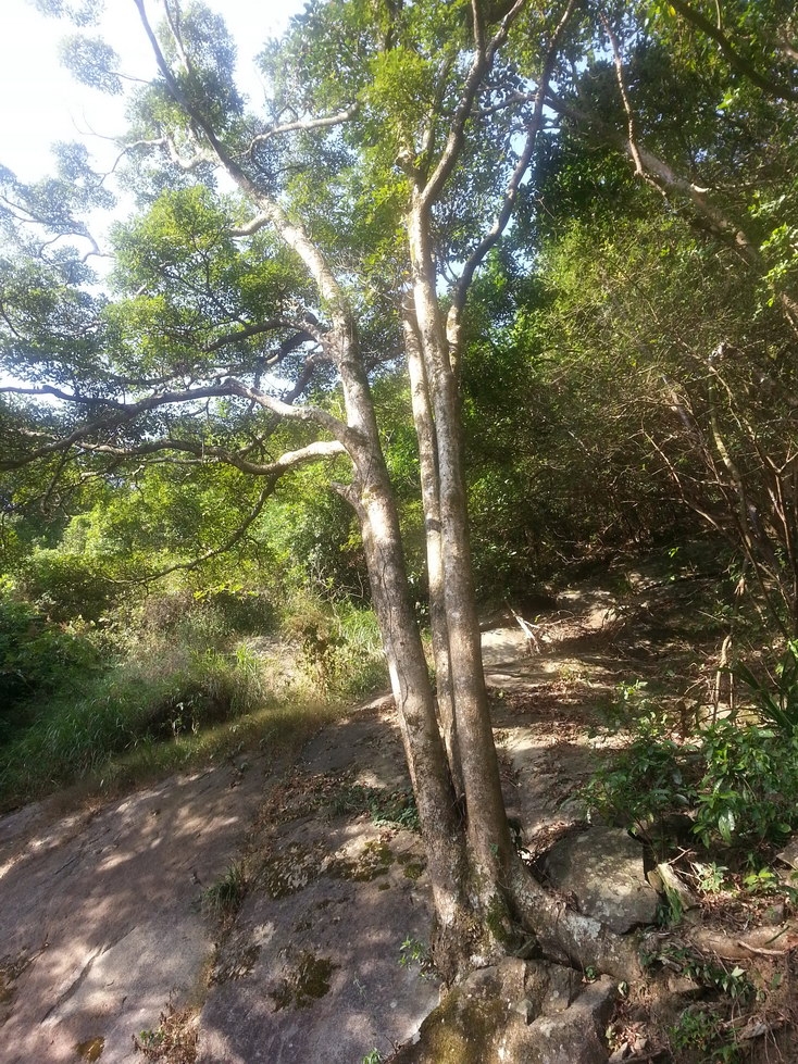 20131013_153123.jpg