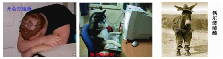 开会打瞌睡，报告瞎应对，偶尔装装酷