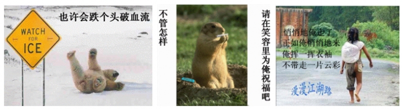 也许会跌个头破血流，不管怎样，请在笑容里为俺祝福吧！