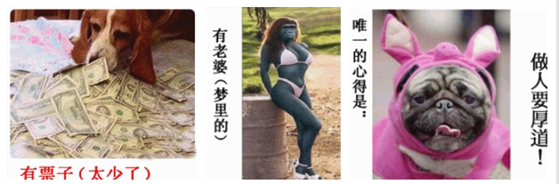 有票子（太少了），有老婆（在梦里），唯一的心得是：做人要厚道